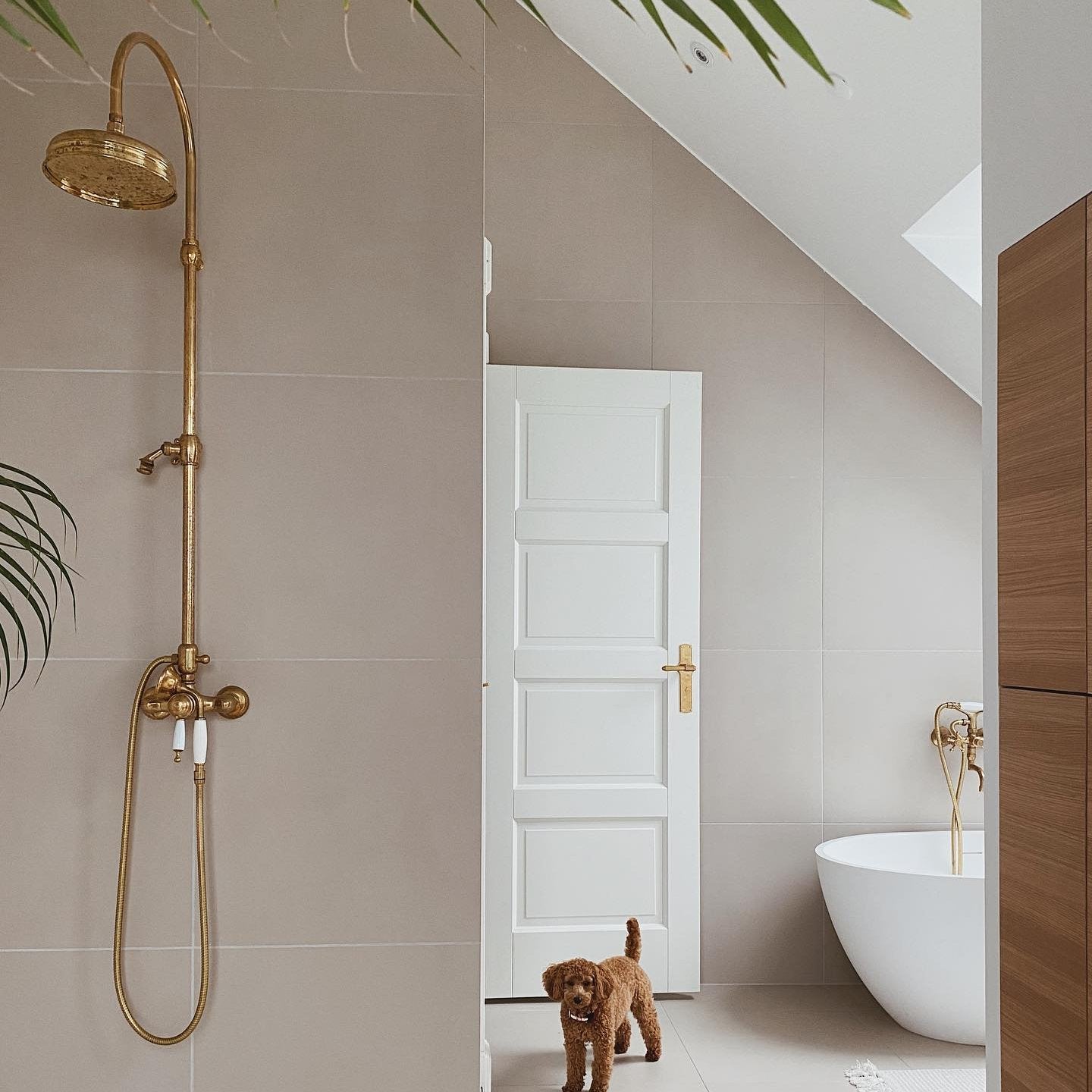 Duscharmatur mit Thermostat Oxford Messing