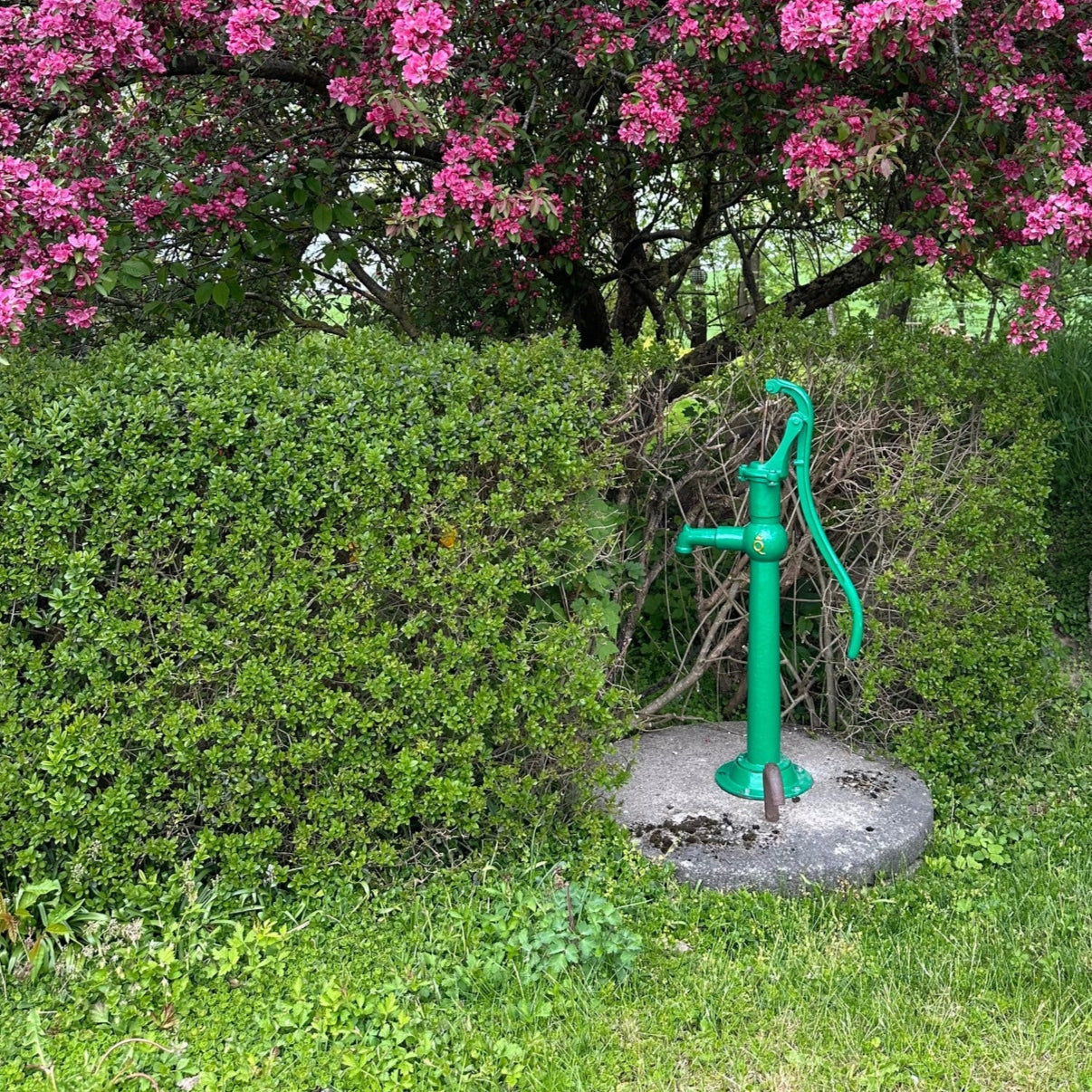 Gårdspump Grön manuell pump