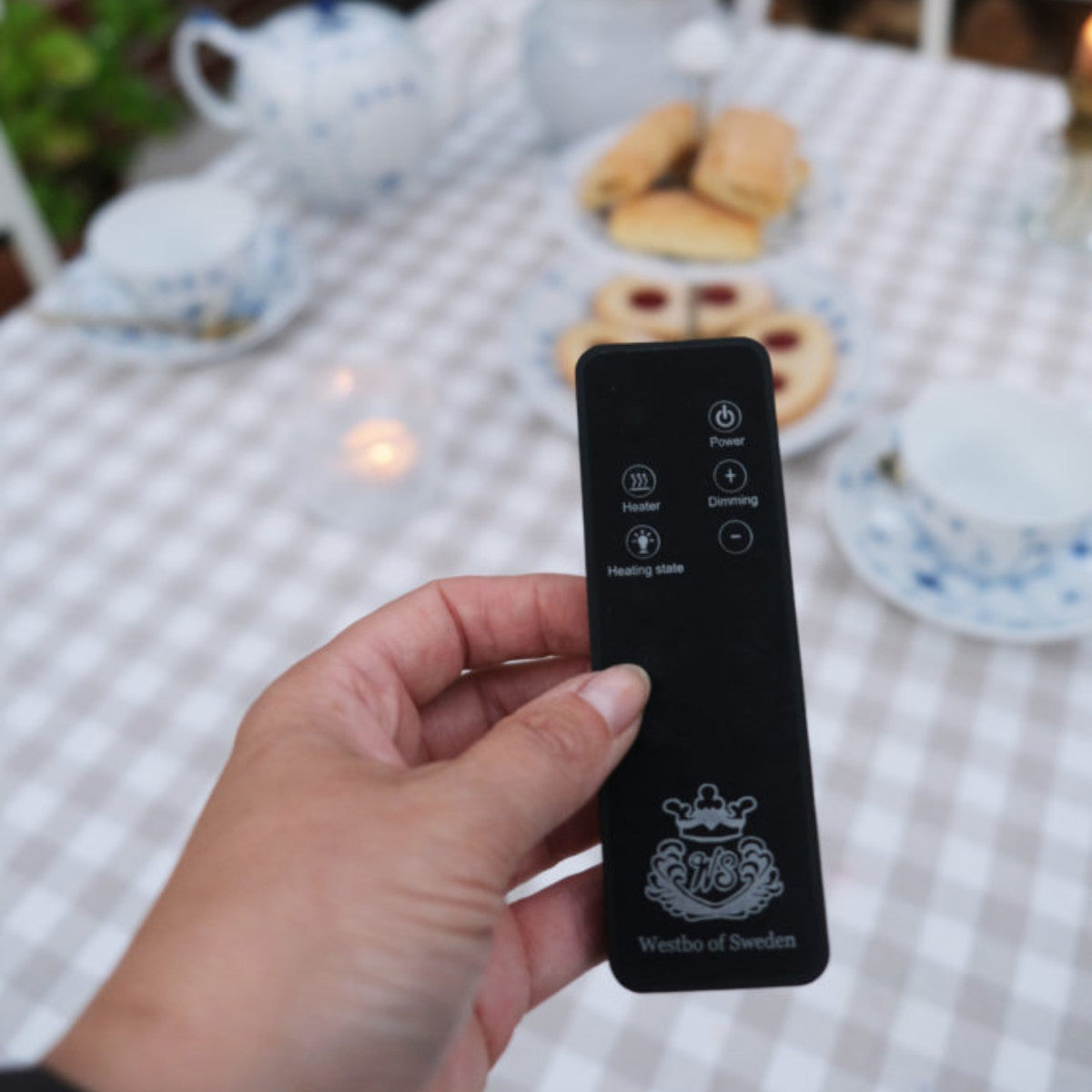 Westbo Carl Elektrokamin