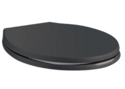 Toalett Fitzroy Mjukstängande Sits