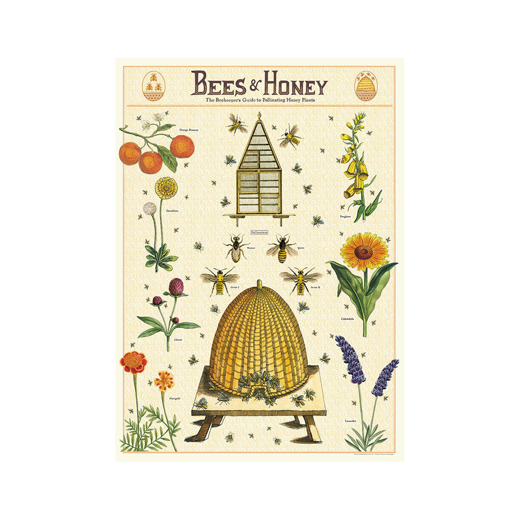 Vintage-Poster „Bienen & Honig“