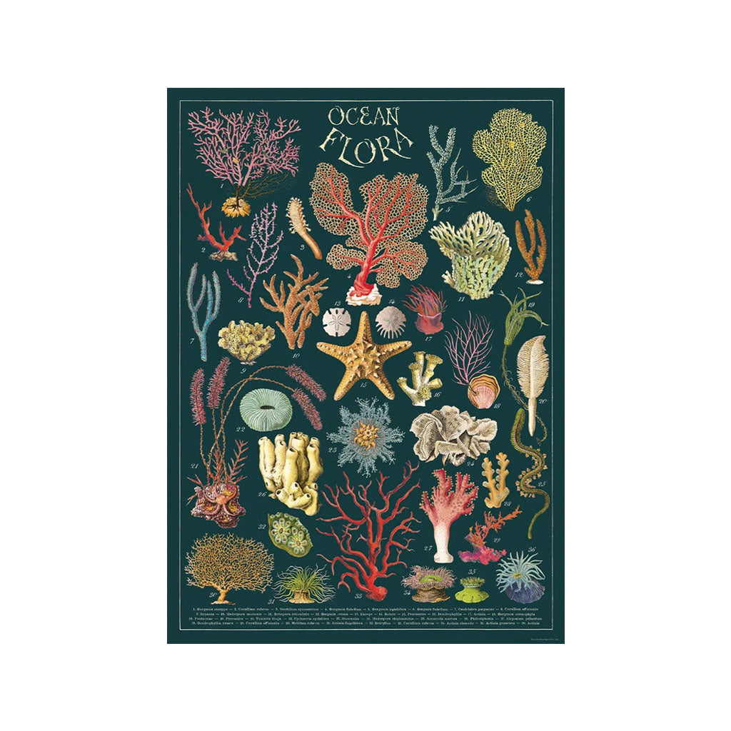Vintage poster 'Ocean Flora'