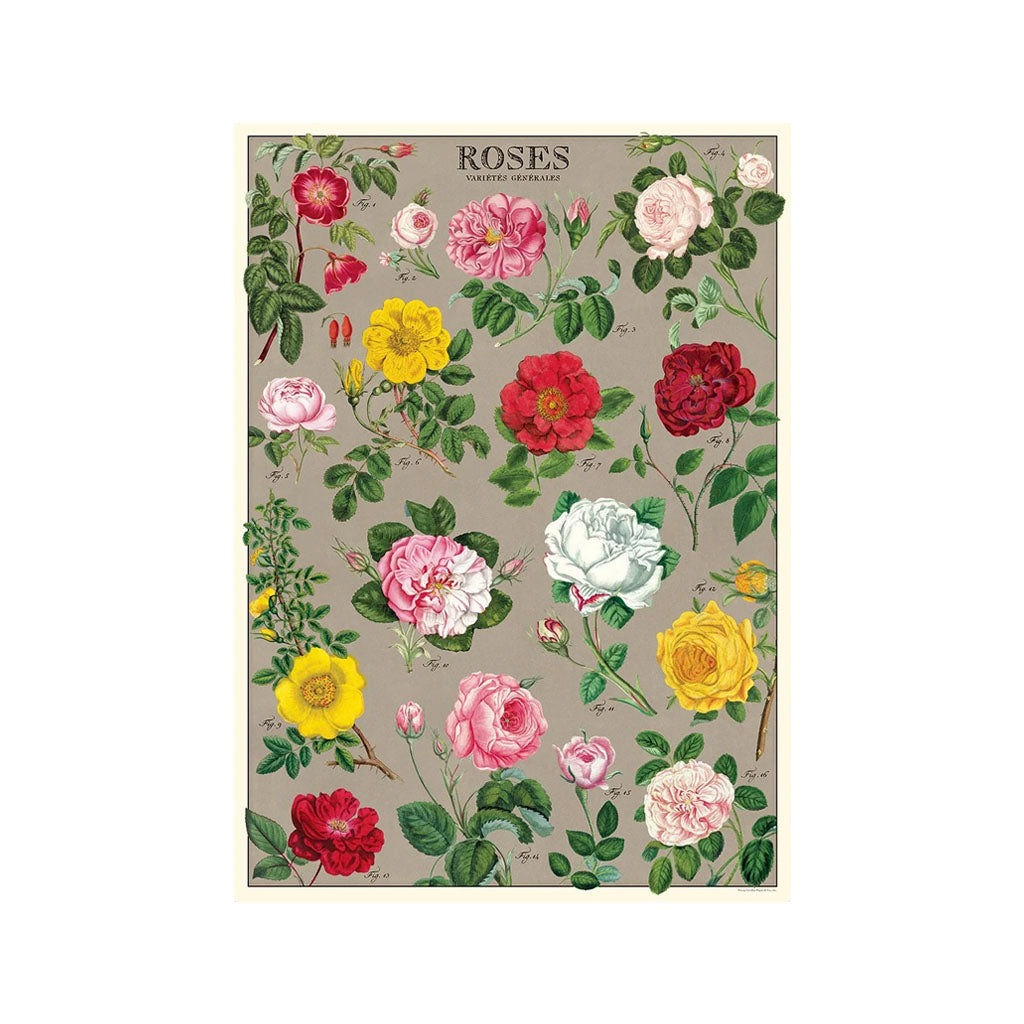 Vintage poster 'Roses'