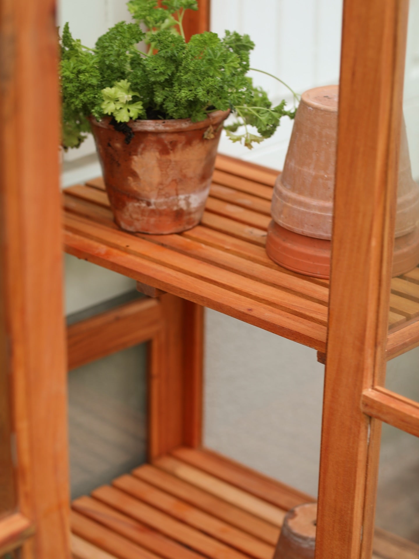 Vy uppifrån och framifrån av Qvesarums väggväxthus i mahogny