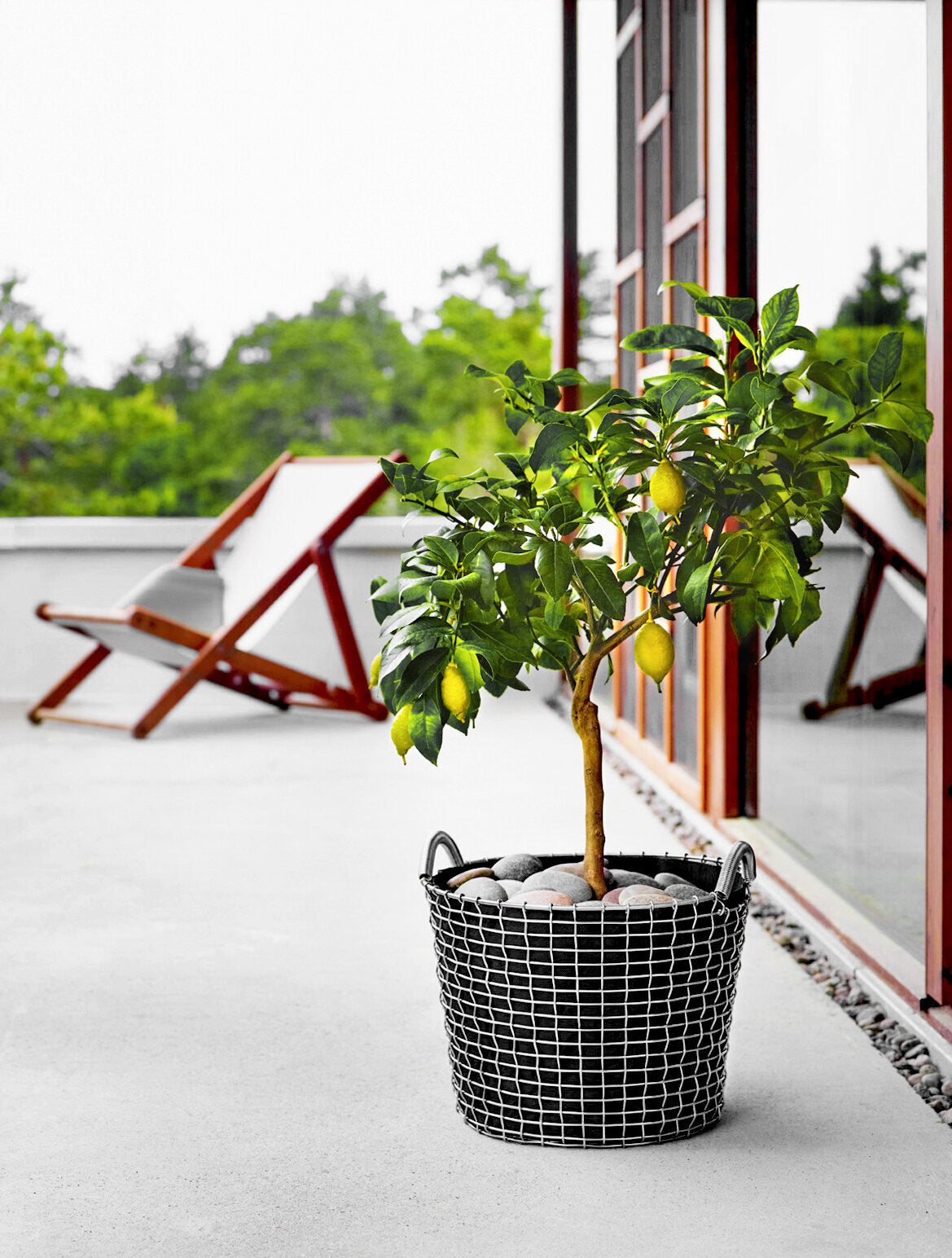 Trådkorg Korbo Classic 24L