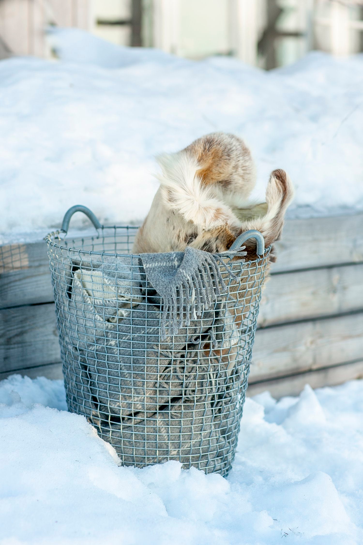 Drahtkorb Korbo Classic 80L