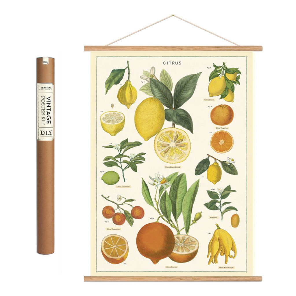 Vintage-Poster-Kit 'Citrus