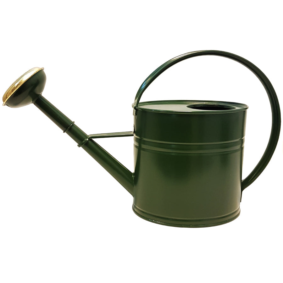 Wasserkrug grün 4L