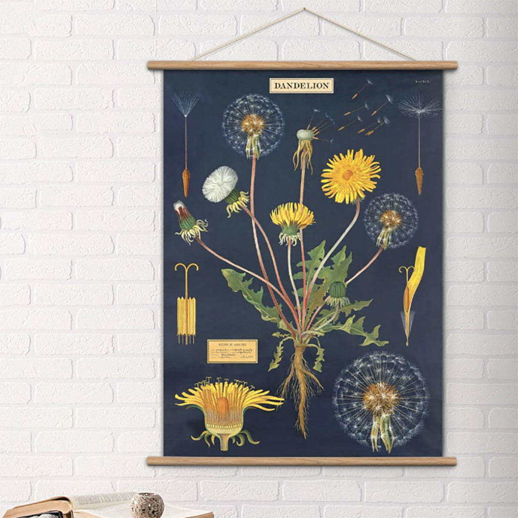 Vintage-Posteraufhänger aus Teakholz