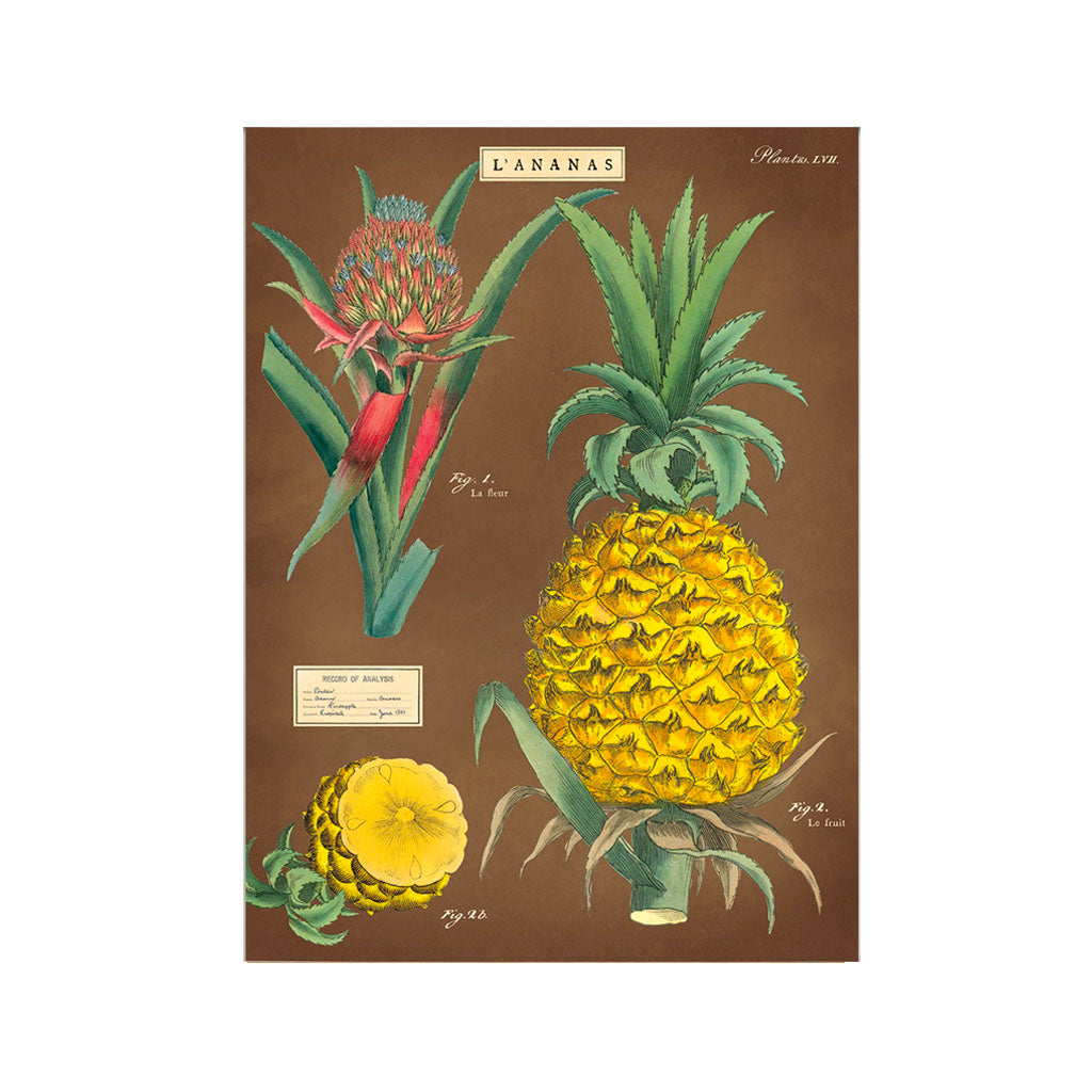 Vintage poster kit 'Pineapple'