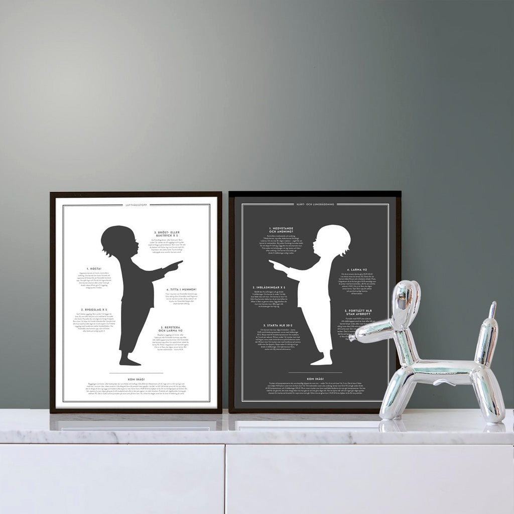 Poster Karin &amp; Johan "The life